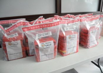 DNCD DECOMISA 89 PAQUETES PRESUMIBLEMENTE DE COCAÍNA EN OVIEDO