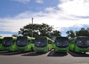 OMSA extenderá horario de servicios de transporte a partir del 27 de enero