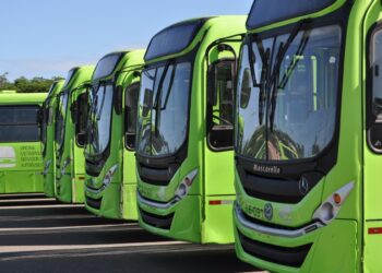 OMSA extiende horario de servicios tras flexibilización de libre tránsito