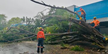 Defensa Civil realiza labores preventivas y de respuesta tras paso del fenómeno