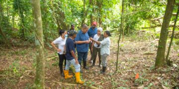 Entidades exploran restos de un posible ingenio de más de 500 años en el Higüero