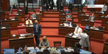 Senadores retornan a Comisión Especial con plazo fijo de una semana proyecto crea un nuevo DNI