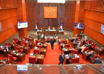 Senado aprueba en primera lectura transformación del DNI
