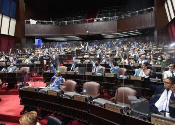 Diputados aprueban proyecto de ley que regula lengua de señas y sistema Braille en RD