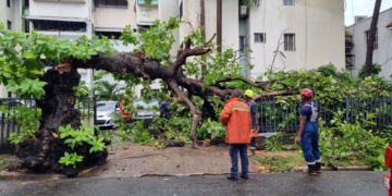 ADN agradece a brigadas y bomberos exitosa jornada preventiva durante paso huracán Fiona