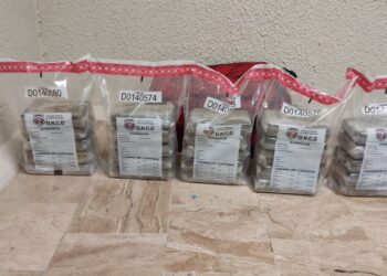 DNCD frustra envió de 50 paquetes de un polvo presumiblemente cocaina a Bruselas