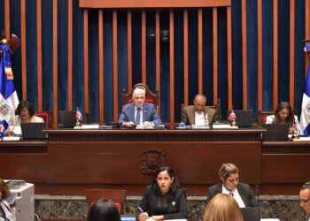 El Senado aprobó en primera lectura el Proyecto de Ley sobre Control y Regulación de Armas