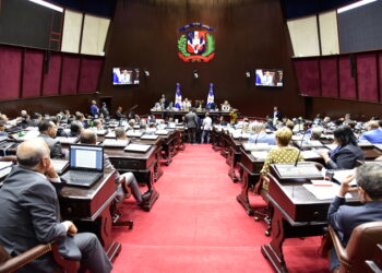 Diputados convierten en Ley proyecto que permite perseguir a culpables de robos sin violencia sin la necesidad de querella