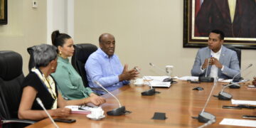 Diputados dialogan con ministro de Energía y Minas sobre proyecto de ley que formaliza la creación de Punta Catalina