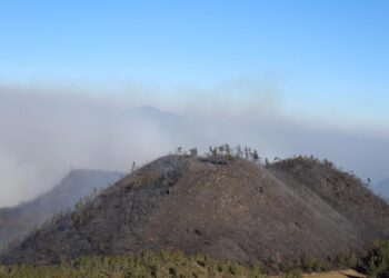 FARD contribuye a sofocar incendio en el Valle Nuevo, Constanza