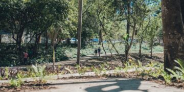 Con intervención de más de 42 kilómetros de cañadas en el Gran Santo Domingo CAASD impacta positivamente el medioambiente