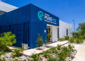 La apuesta de Fundemar para darle futuro a los arrecifes en RD