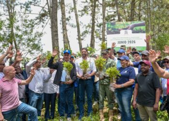 Senado realiza jornada de reforestación en la cuenca alta del río Nizao y establece su segundo bosque institucional