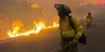 Incendio forestal deja 12 muertos, ocho heridos y 19 desaparecidos en el sur de España