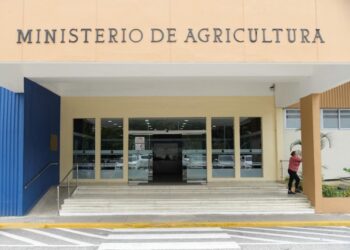 Agricultura y sector arrocero activan estrategia nacional para enfrentar el chinche de la espiga