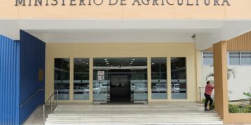 Agricultura y sector arrocero activan estrategia nacional para enfrentar el chinche de la espiga