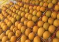 Osmar Benítez advirtió semanas antes sobre riesgos fitosanitarios que hoy frenan exportación de mango a EE. UU.