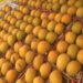 Osmar Benítez advirtió semanas antes sobre riesgos fitosanitarios que hoy frenan exportación de mango a EE. UU.