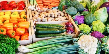 Productores de Constanza denuncian crisis por importaciones y advierten que la agricultura está al borde del colapso